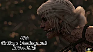 Ciri's Perilous Predicament at the Secluded Cottage