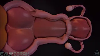 Buffpup's Wild Backwoods Futanari: Knotting, X-Ray & Cumflation