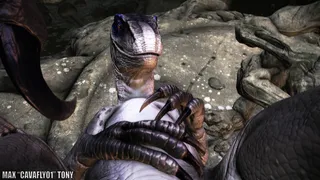 Into the raptors' nest