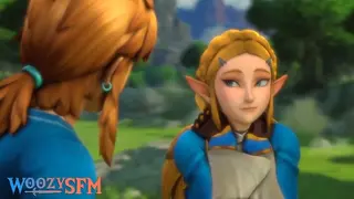 Links Wish Came True [Woozysfm]