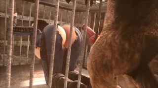 Elizabeth's Noname55 Compilation