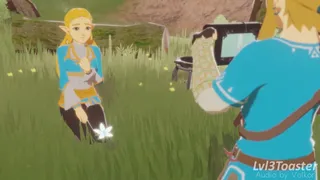 Zelda Stasis Prank [Lvl3toaster]