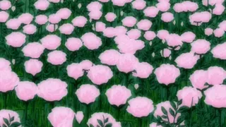 Shhh! We Must Be Quiet – Don't Let Anyone Hear Us!