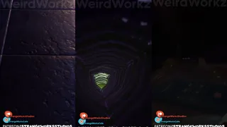 CW: Vore, Internals, Digestion, Bones, Nsfw Chicken Encounter ANIMATION (1/2) -An Animation Test of: