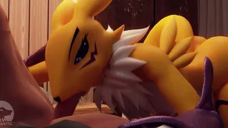 Renamon Blowjob Pov