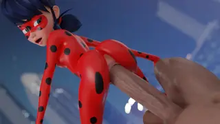 Ladybug fug 2