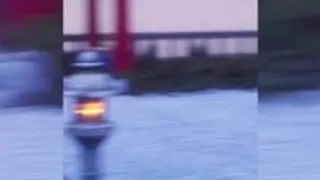 女神与青蛙杀手