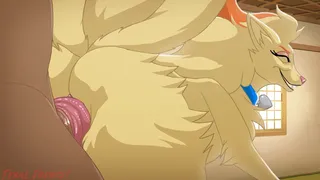 Ninetails Special Training (FeralFrenzy!)