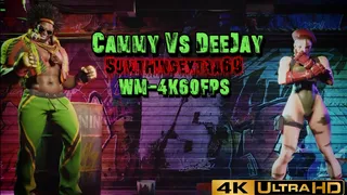 Cammy Vs DeeJay [Sumthingextra69][4K60FPS]