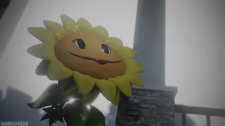Sunflower Visiting