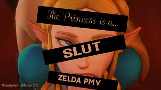 Legend of Zelda PMV: The Princess Is a Slut Compilation