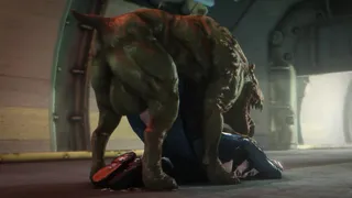 Beast Fucking Girls Compilation - Exotic Animal Encounters