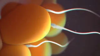 Impregnated By Orcs (4K)