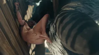 ZMSFM Ciri and Fiend Instantloss