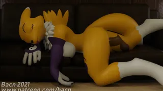 Renamon's Portal Fleshlight [Bacn]