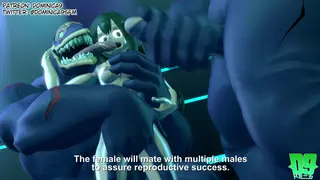Tsuyu gets Bred on the Discovery Channel