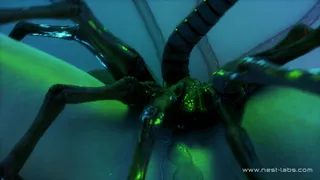 Aerith and Facehugger