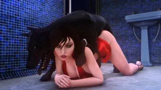 Dogs And Bitches Fuck Compilation