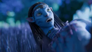 AVATAR and the human whoi have the privilege