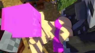 Pinke's Illager Encounter Animation