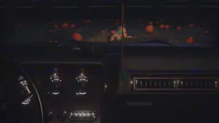 Pumpkin field - Wildeerstudio