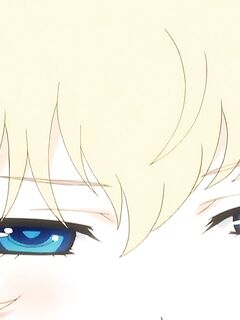 Busou Shoujotai: Blade Briders