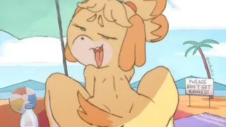 Naughty Dog Born, intense Stupid Indecency Fines
