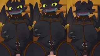 Toothless Rabbitadvisory