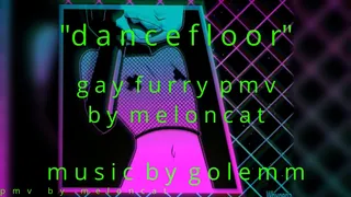 Hot Dancefloor Gay Furry PMV
