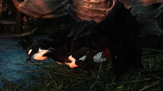 QuestFailed Charlotte Episode
