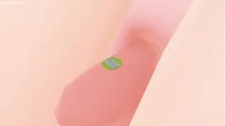 Micro Citys (Giantess/SizeFetish, Sfx, Masturbation, Unaware) [MMD]