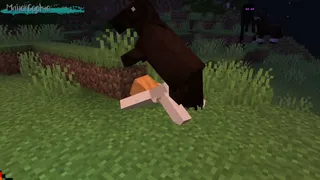 Minecraft Needs of Nature Mod: Alex Fun with Horses, Wolves, Enderman