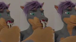 Nose Vore by Katzenoms