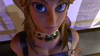 Hot Hyrule Warriors Femboy Link Playtime Taker POV