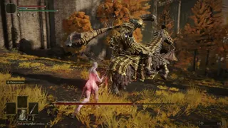 Elden Ring Shadow of the Erdthree Nude Level 1 - Draconic Tree Sentinel Fight No Hit