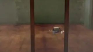 Star Rail Crisi della Creazione del Corpo Umano [Ruanmei]