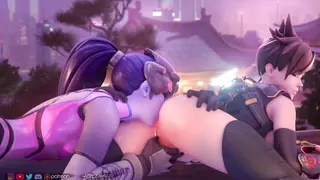 3D Animation Brunette Lesbian NSFW Overwatch Pussy Pussy Licking
