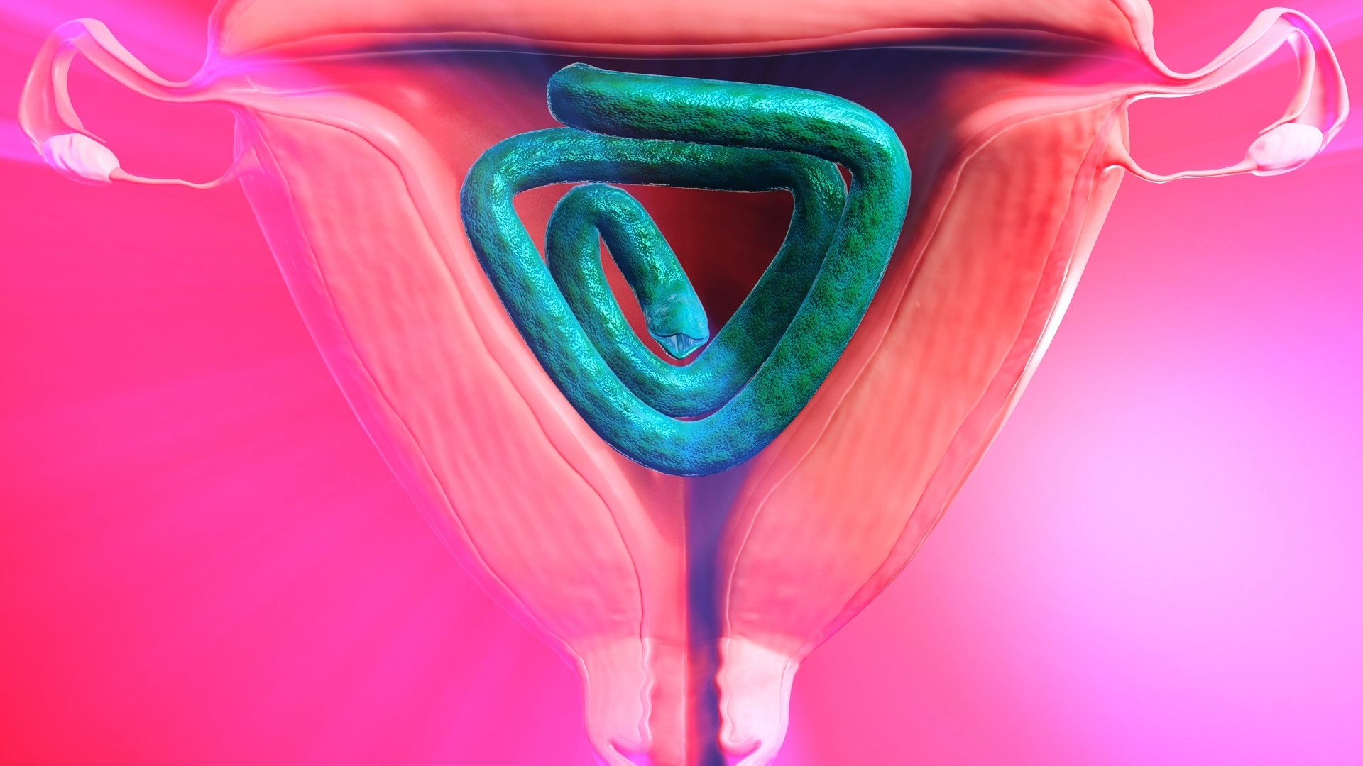 poster image