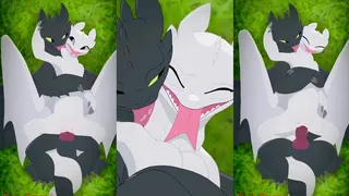 Toothless scopa Nubless