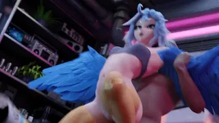 Il ventre di Harpy Papi si gonfia al contrario