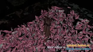 Violet's scene 9.1 (preview)