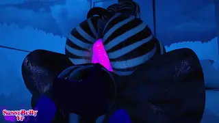 Having some Zebra fun