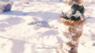 Visit: Follow: ----- Animation From: Dezmall ----- nsfw sex porn naked nudes hentai 3danimations wai