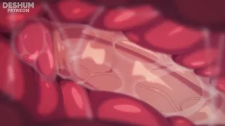 Animazione Anime Creampie Sesso Orale Cremoso