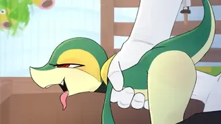 Snivy fertilization [tofuuu]