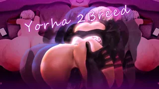 요르하 2breed pmv