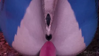 Project symbiosis