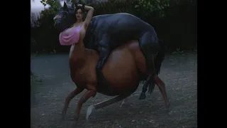 L'incontro equino di Claire con un centauro