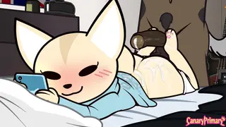 Fenneko footwork [canaryprimary]