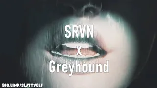 SRVN x GREYHOUND PMV [4K]
